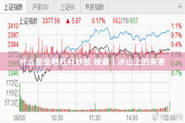 什么是金融杠杆炒股 晚潮｜冰山上的来客